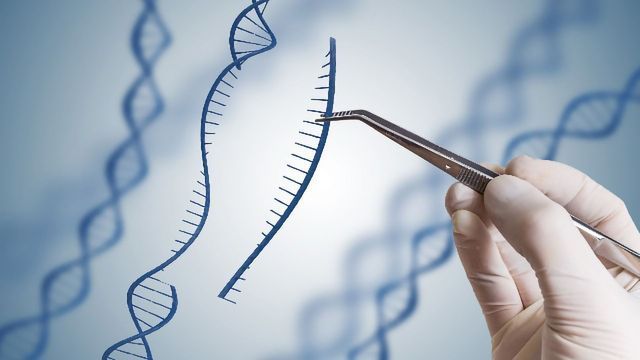 9 Top Tips for Success with CRISPR-Cas9  content piece image 