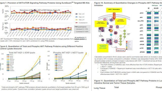 Applications of Mass Spectrometry Targeted Assays for Quantitative Analysis of Cancer Signaling Proteins content piece image 