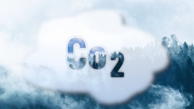 Cloud shape with "CO2" written in and a misty forest in the background. 