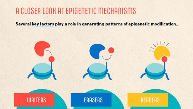 Cancer Epigenetics content piece image 