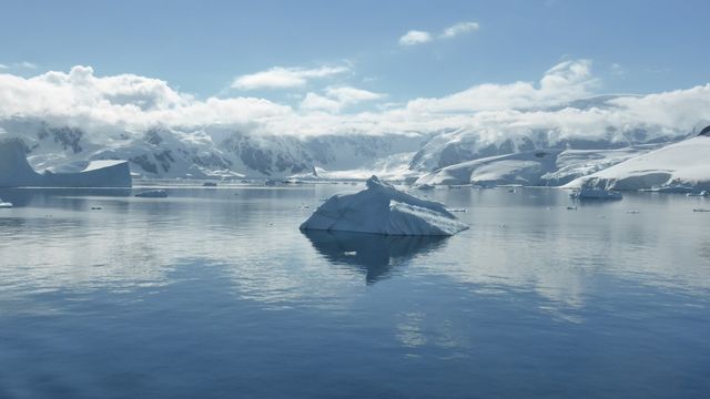 View of icebergs in Antarctica. 