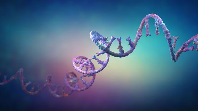 Characterization and Relative Quantification of mRNA 5’-Capping content piece image 