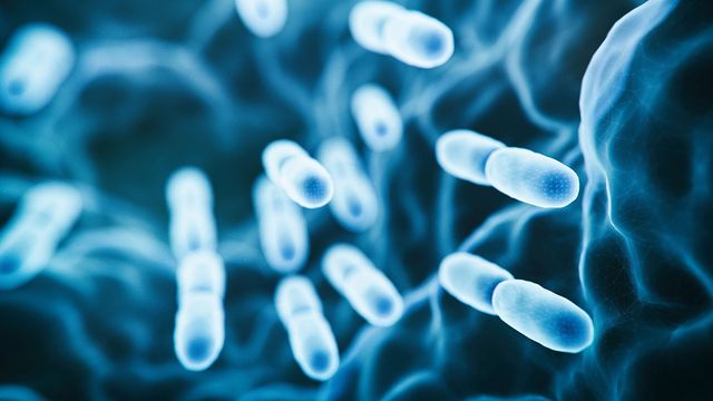 Comparison of Viability Detection Methods Via Morphological Observation content piece image 