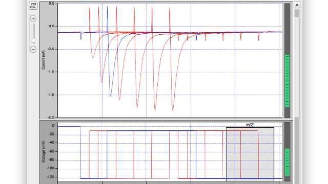 Electrophysiology Goes Digital content piece image 