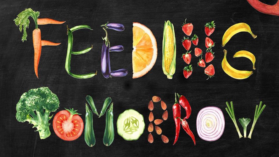 A header reading "feeding tomorrow" displayed using fruit and vegetables. 