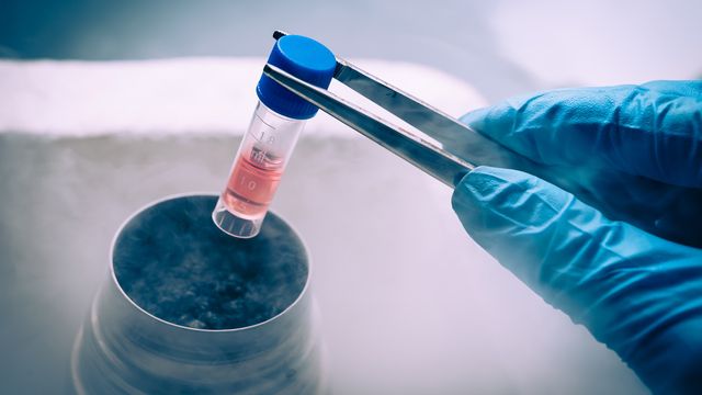 A small tube containing liquid is lifted from a container of liquid nitrogen using tweezers. 