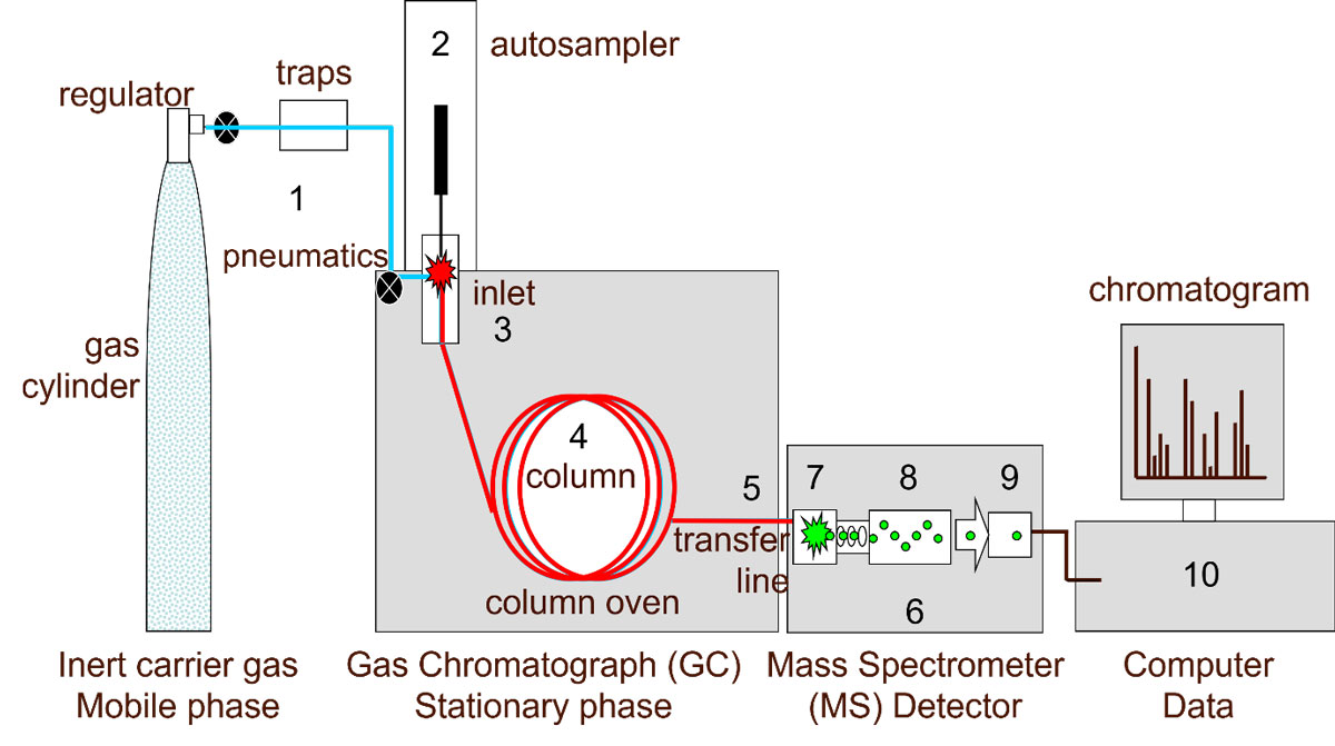 A simplified diagram of a gas chromatograph–mass spectrometer showing (1) carrier gas, (2) autosampler, (3) inlet, (4) analytical column, (5) interface, (6) vacuum, (7) ion source, (8) mass analyzer, (9) ion detector and (10) PC.