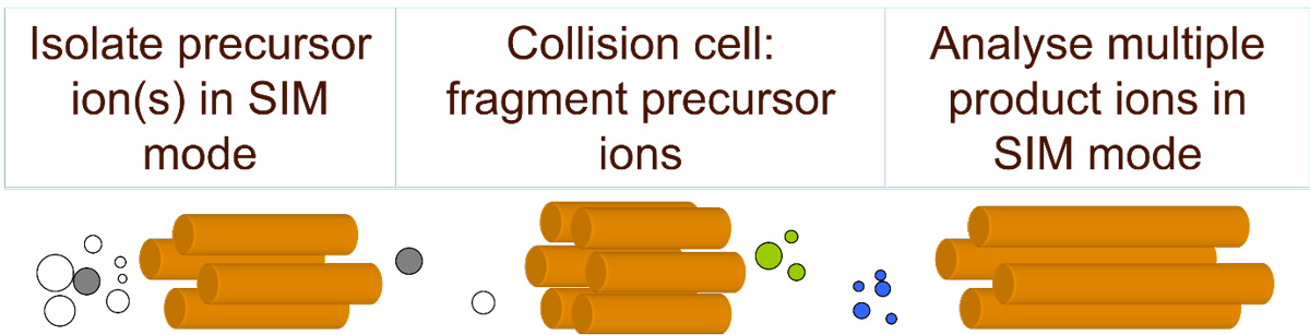 An example of a triple quadrupole MS/MS instrument in multiple reaction monitoring (MRM) mode, showing how ions are precursor ions are isolated, fragmented and analyzed.