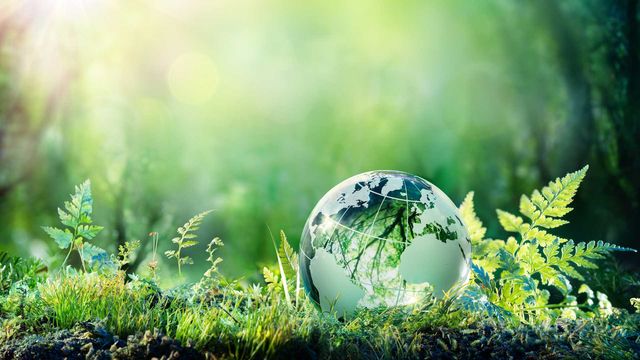 A globe sitting among leaves  