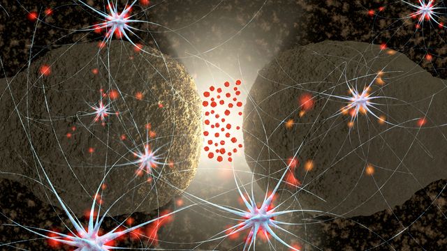 Histamine in Complex Biological Matrices: Application to Inflammation Studies content piece image 