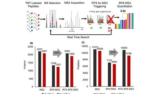 Improve Multiplexed Proteome Coverage and Quantification Accuracy With Real Time Search (RTS) Orbitrap LC-MS content piece image 