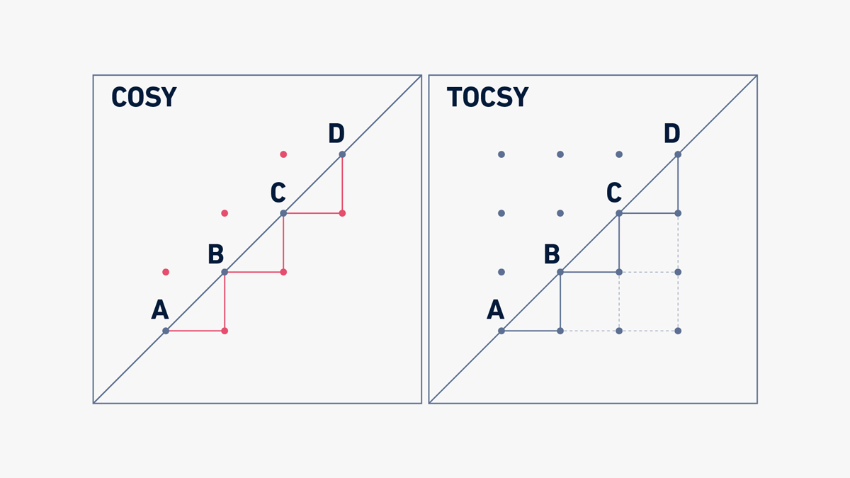 Examples of 1H,1H COSY and 1H,1H TOCSY spectra for a molecule with the structure A-B-C-D and hydrogen atoms attached to each of them. The COSY spectrum only shows the peaks arising from the correlation between two hydrogens separated by a maximum of three chemical bonds (this is H-A-B-H; H-B-C-H; and H-C-D-H). The TOCSY spectrum shows the peaks arising from the correlation between two hydrogens belonging to the same spin system (in this case, all the possible H-H correlations).