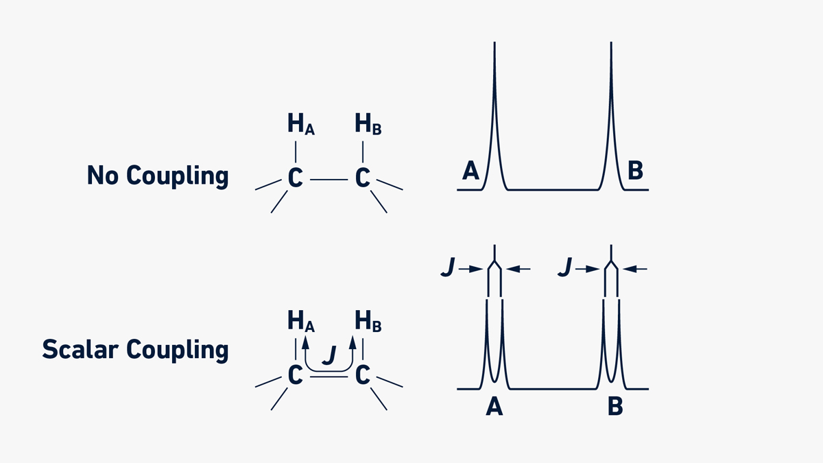 Example of a scalar coupling. If there is no scalar coupling (top), NMR signals from HA and HB appear as simple peaks. However, if the two nearby protons HA and HB show scalar coupling with a constant J (bottom), the signals will split. Both protons HA and HB are coupled with one proton attached to a contiguous carbon nucleus, following the N+1 rule each proton signal will split into two signals, forming a doublet and the split distance will be equal to the coupling constant, J.