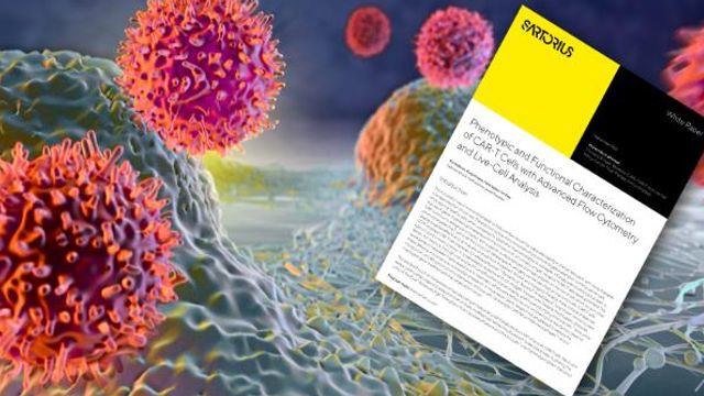 Phenotypic and Functional Characterization of CAR-T Cells content piece image 