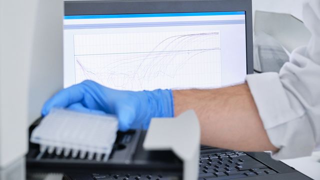 qPCR Analysis, How a qPCR Machine Works and qPCR Protocol content piece image 