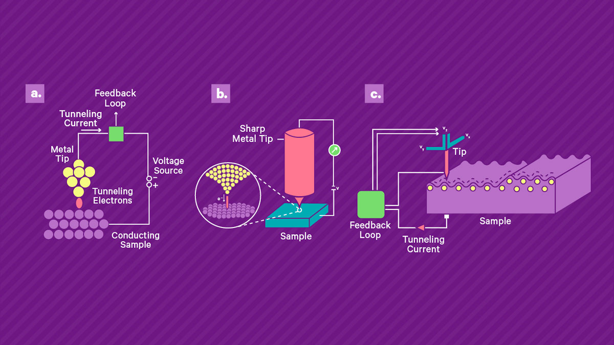 Operating principle of a scanning tunneling microscope. a) A sharp, conducting tip is brought into close proximity to a conducting sample surface and a bias voltage is applied, resulting in a small tunneling current across the gap. This current is read out by a high gain amplifier. b) A piezoelectric scanning system is used to control the tip-surface separation and to scan the tip across the surface. The current amplitude can be used as a direct measure of tip-surface separation when the tip is kept at a constant height, enabling topographic imaging. Alternatively, a feedback loop can be used to maintain a constant current by varying the control voltage of the positioning system, which is recorded and yields a measure of topography and electron density across the sample.