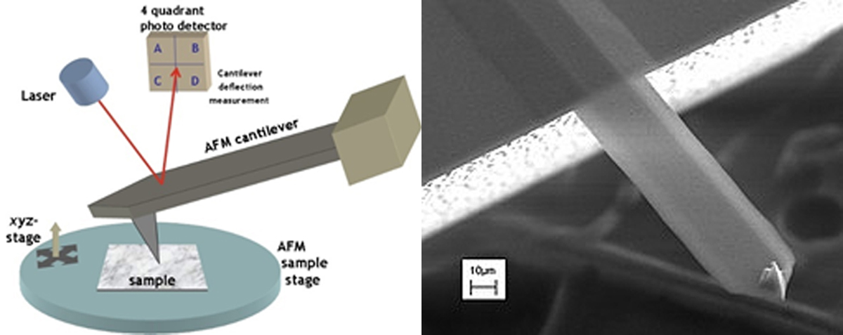 a) Schematic representation of an AFM. A cantilever with a sharp tip is positioned at nanoscale proximity to a surface and is scanned across it using a scanning sample stage. A laser is focused onto the cantilever and its reflection detected by a photodetector, enabling sensitive detection of small tip displacements from which the surface topography can be reconstructed. b) Scanning electron micrograph of an AFM cantilever with a sharp tip on its end.