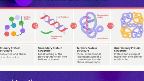 Structural Biology