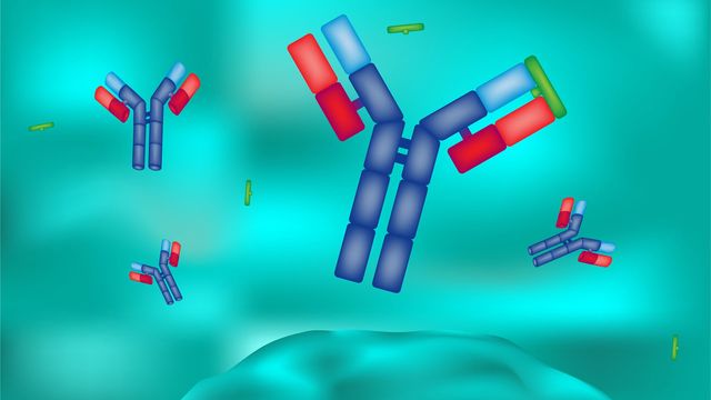 Superior Characterization of Biotherapeutic Quality Attributes Using Electron Activated Dissociation content piece image 