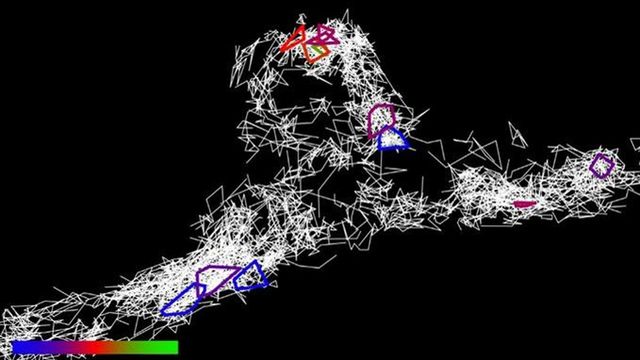 Tau clusters identified in a live neuron under a microscope. 