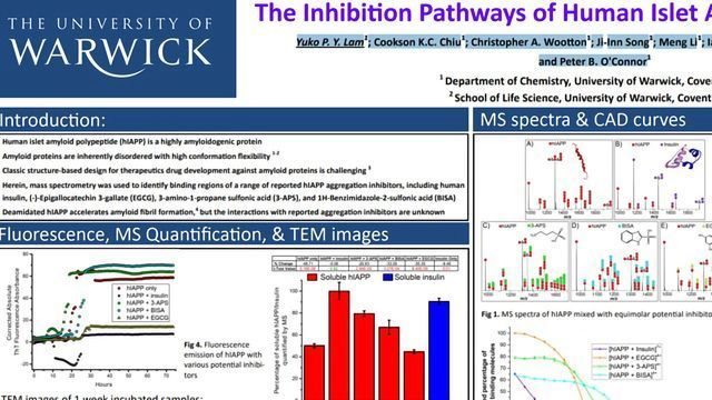 The Inhibition Pathways of Human Islet Amyloid Polypeptide content piece image 