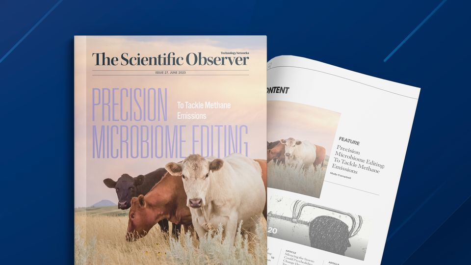 The Scientific Observer Issue 27 front cover