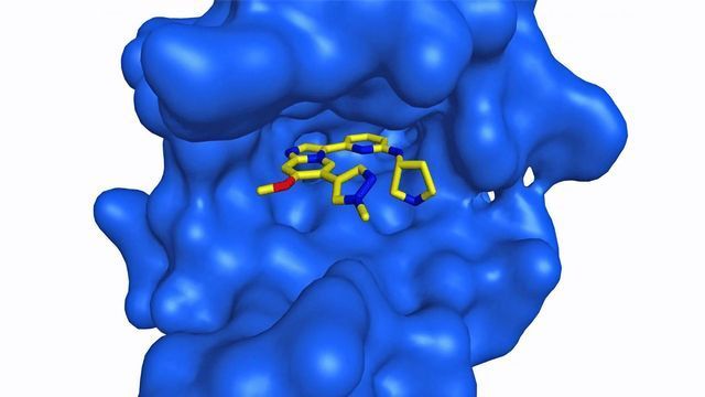 Two-pronged Approach To Tackle Leukemia Drug Resistance content piece image 