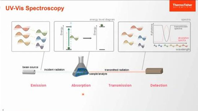 UV-Vis Spectroscopy Techniques in Food and Beverage Analysis content piece image 