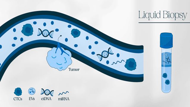 A diagram showing a liquid biopsy's targets. 