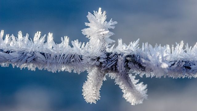 Close-up of ice crystals formed on barbed wire. 