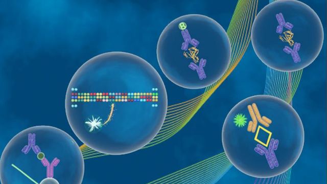 Your Guide to Luminex Multiplex Immunoassays content piece image 